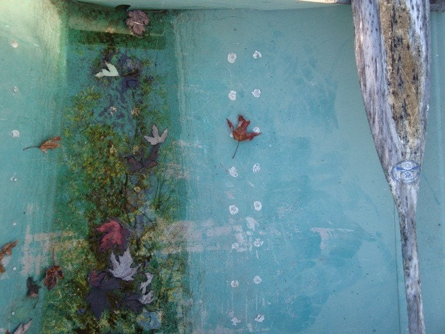 leaves under water