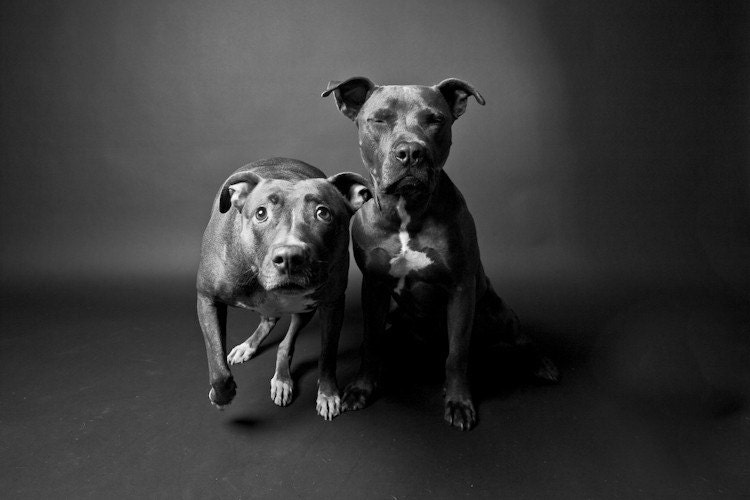 brother & sister no3