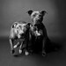 brother & sister no3