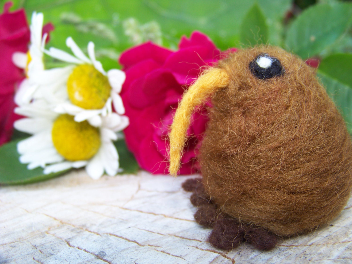 Needle Felted Bigger Kiwi Bird