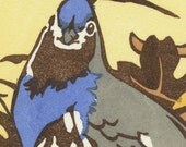 MOUNTAIN QUAIL blank bird greeting card