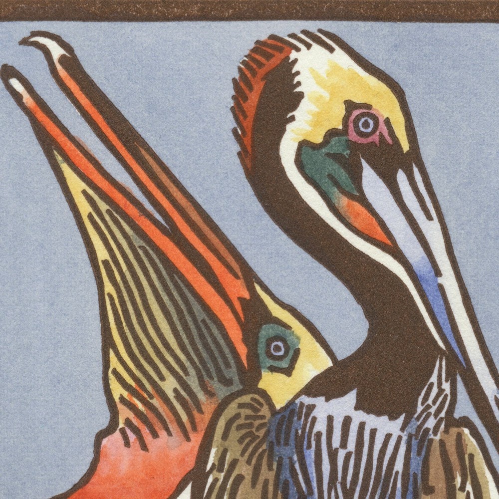 BROWN PELICAN blank bird greeting card