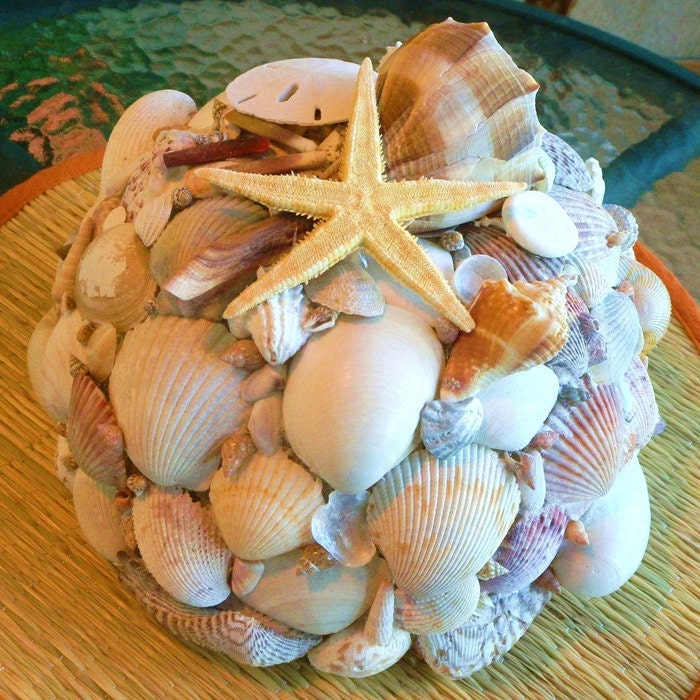 SEASHELL LAMP Accent Light Night Light Coquillage