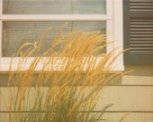Summer Breeze - 8x10 Retro Polaroid Fine Art Print - Seagrass Beach House Bungalow - jenaardell
