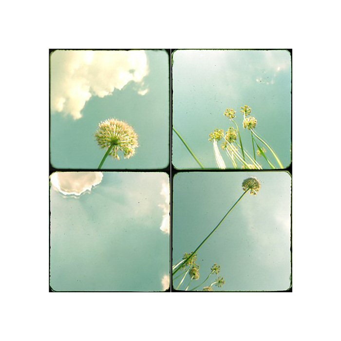 Flower art - flower photography - Fine art photography print -  A set of prints -  Flowers and sky - Ttv - Floral - Green