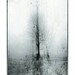 Mystery -  In the cold light of day - Surreal -  Fine art photograph print - 6,8 x 10