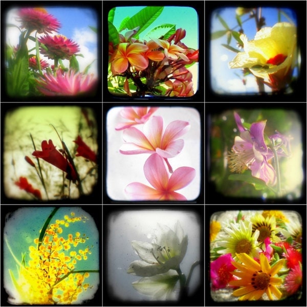 Flower Photo Set Botanical Flower Photograpy, Summer Garden, Spring Decor Prints TtV Floral Photographs 4x4