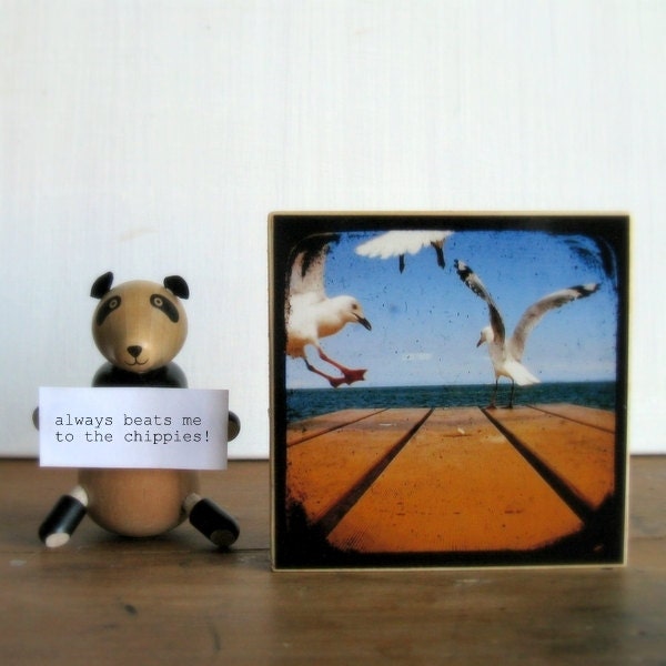 Photo Wood Block 4x4 Seagull Photography Mounted Print Art Block - TtV Photograph Wall Display - Rustic Home Decor