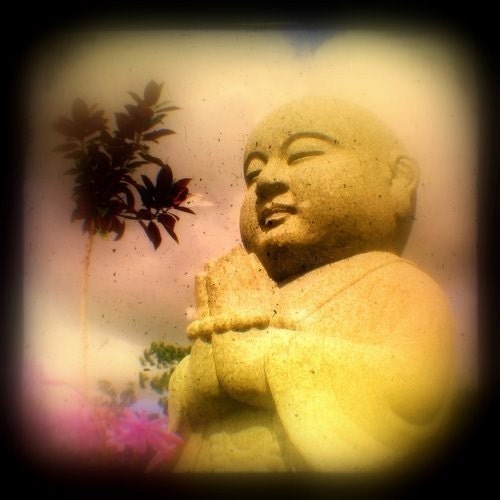 Buddha Art Photo 5x5 TTV Buddha Photography Golden Tranquility Buddhist Art Praying Dharma, Tolerance, Loving Kindness Buddha Photograph