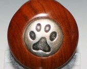 Pernambuco w/ PAW Print  Stainless STEEL