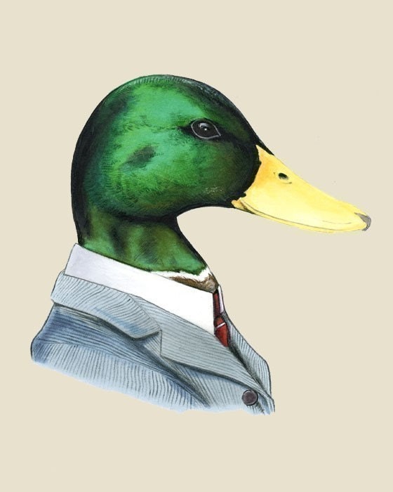 Mallard duck art print 8x10