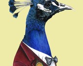 Peacock print 8x10