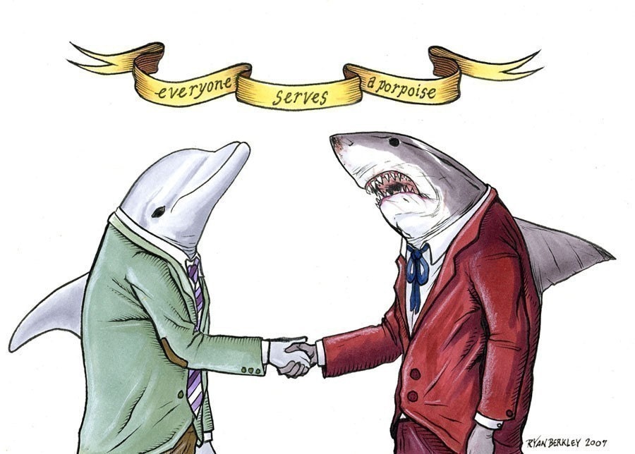 Everyone Serves A Porpoise print 8x10