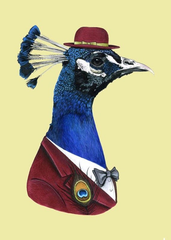 Peacock print 8x10