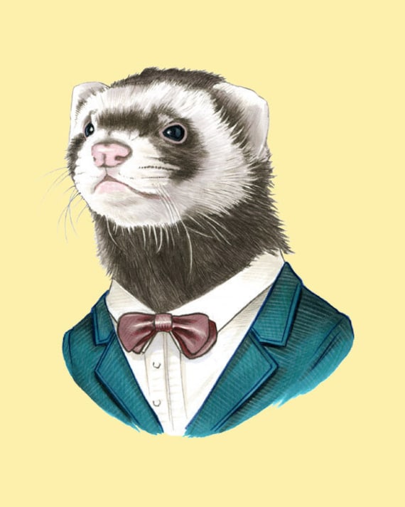 Ferret Artwork