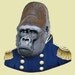 Gorilla print 8x10