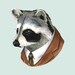 Raccoon print 11x14