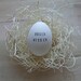 CUSTOM ceramic egg with hand stamped personalized word or name- a symbol of spring, hope, and renewal - easter - from Paloma's Nest