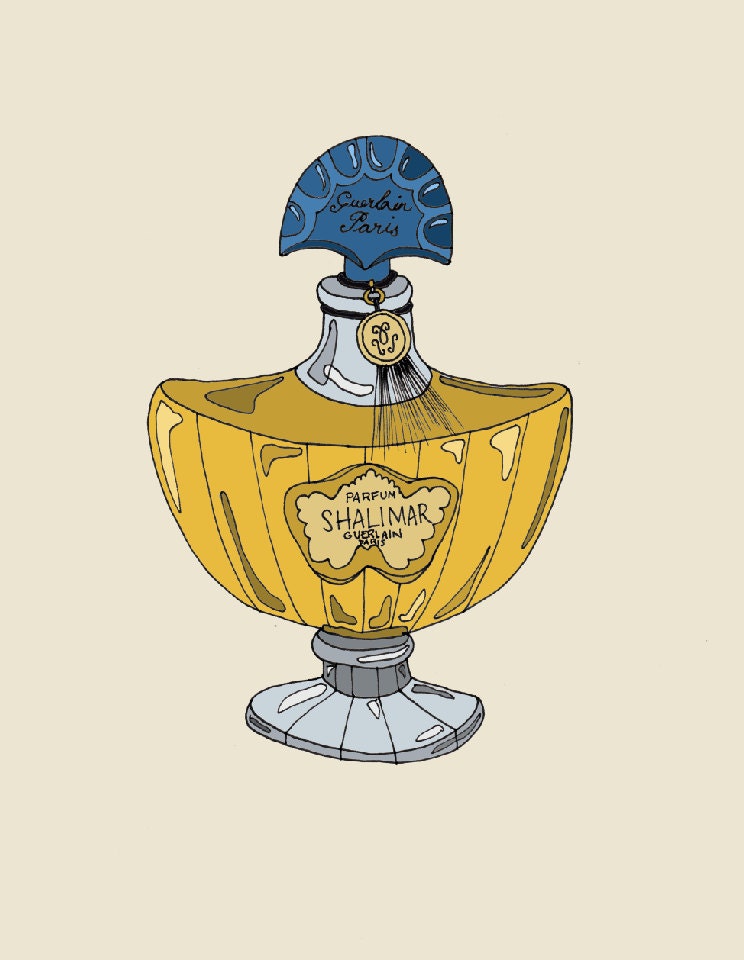 Custom Perfume Illustration... Large