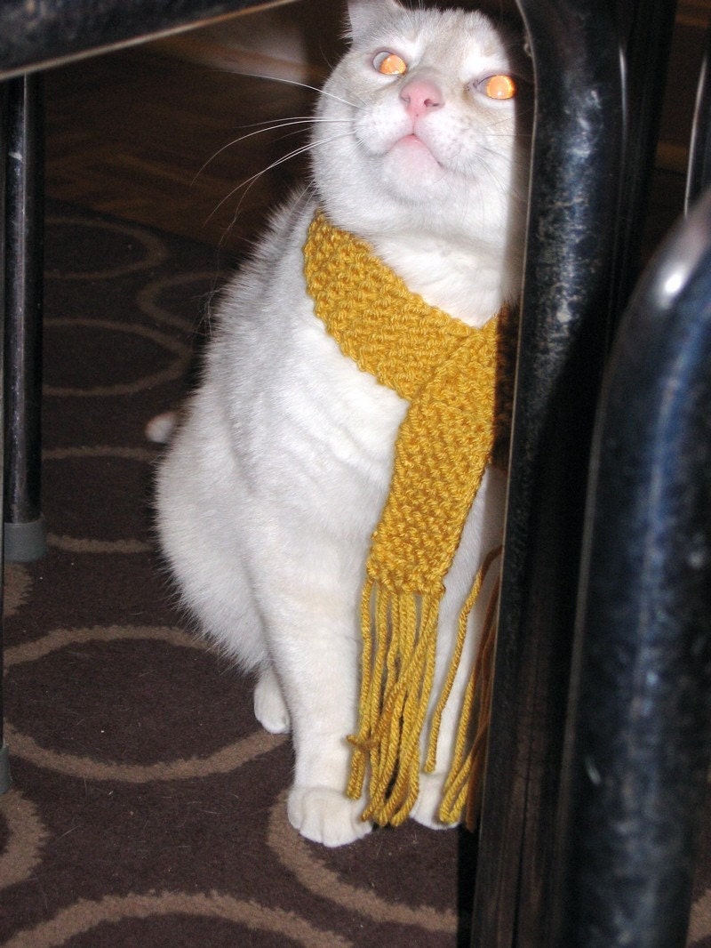 Kitty Scarf - Mustard