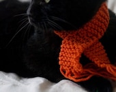 Kitty Scarf - Pumpkin