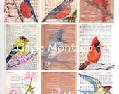 Digital Collection of original art prints for Aceo's gift Tags  Magnets  Cards  Collecting and decor