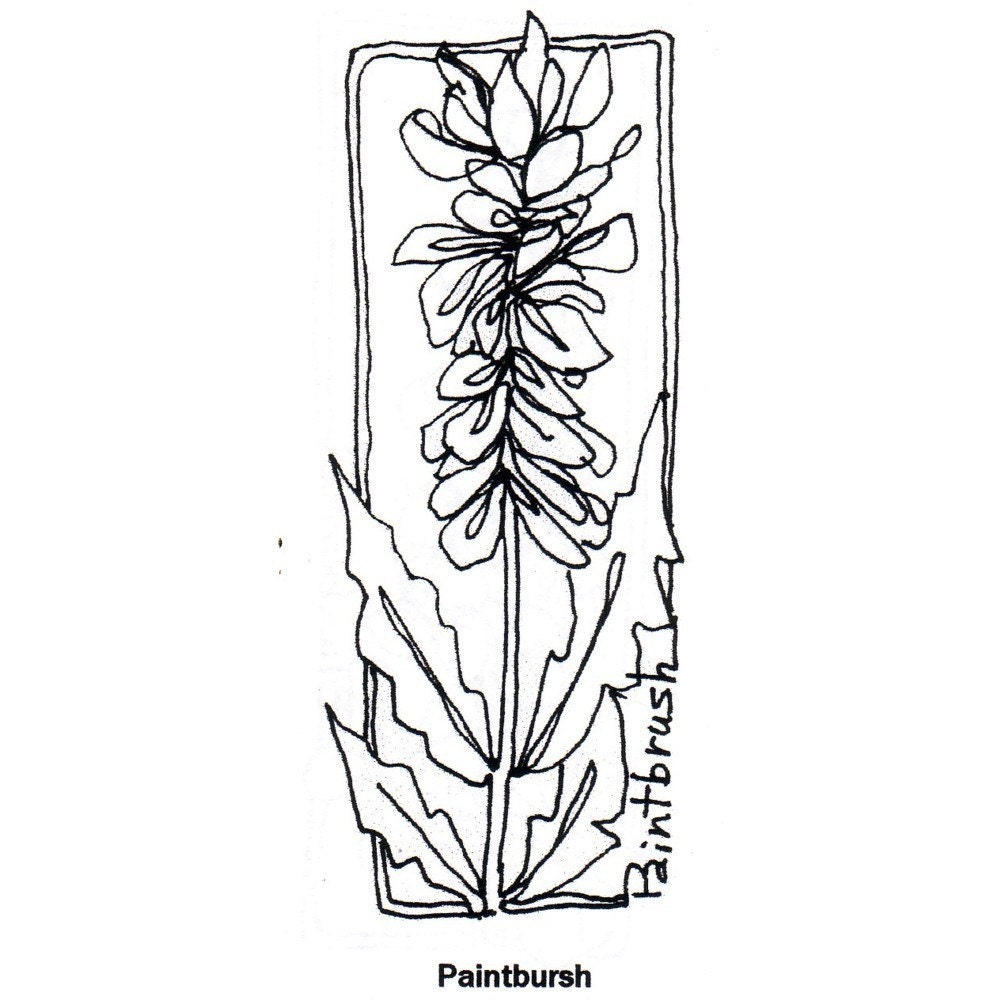 Jam'n Paintbrush   Cling Mount Rubber Stamp