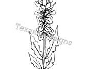 Jam'n Paintbrush 2    Cling Mount Rubber Stamp