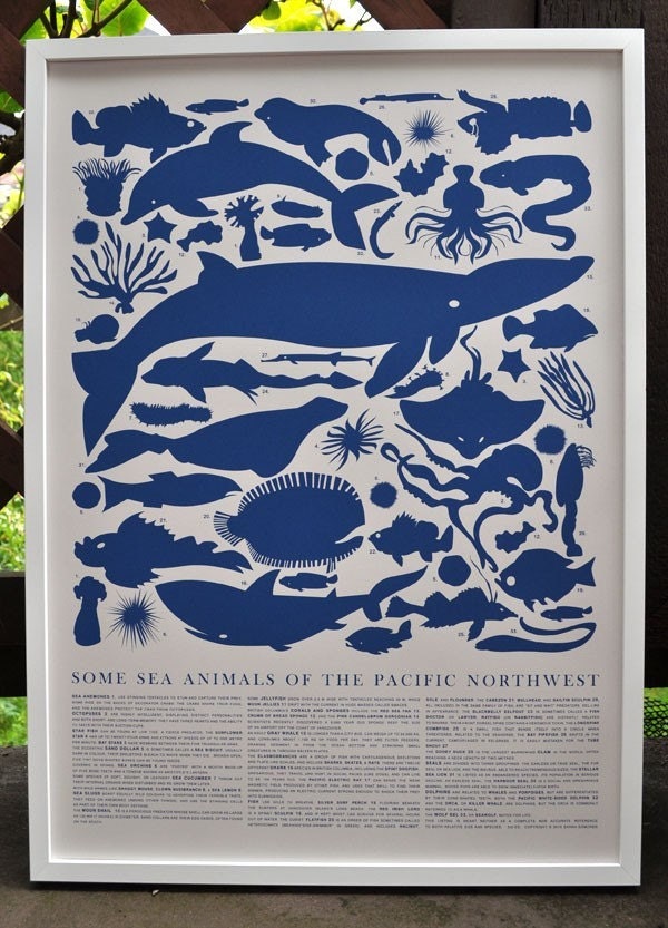 PRINT - Blue Sea Animals of the Pacific Northwest Poster
