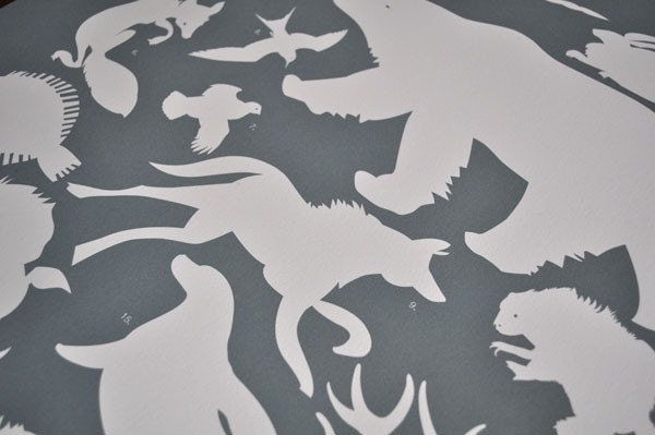 Arctic Animals Poster