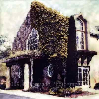 Signorello Winery Polaroid SX-70 Manipulation - 8x8 Fine Art Photograph