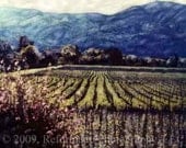 Napa Valley Vineyards Polaroid SX-70 Manipulation - 8x8 Fine Art Photograph