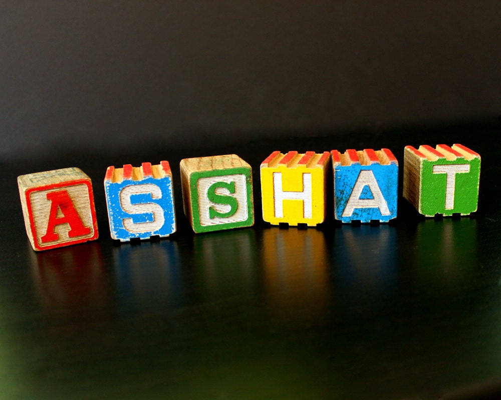 Vintage Letter Blocks - ASSHAT