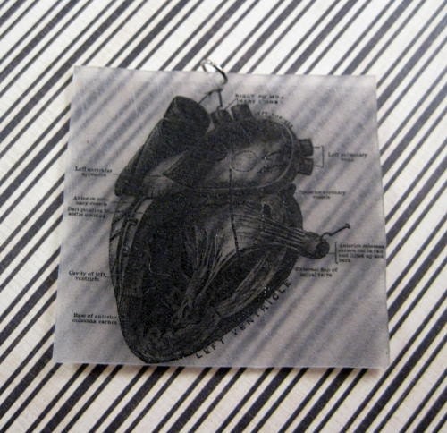 Vintage heart anatomy text illustration charm