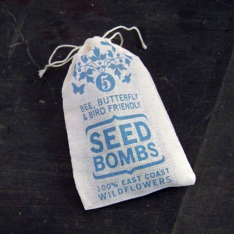 Seed Bombs - East Coast Seeds Bird Bee and Butterfly Friendly DIY Guerrilla Gardening Seed Balls