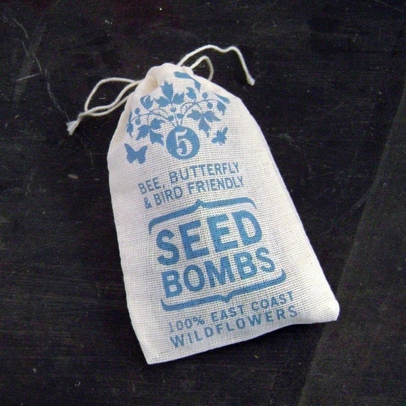 East Coast Seed Bombs - Bird Bee and Butterfly Friendly DIY Guerilla Gardening Seeds Seed Balls