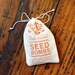 Southeast Seed Bombs - Bird Bee and Butterfly Friendly DIY Guerilla Gardening Seeds Seed Balls