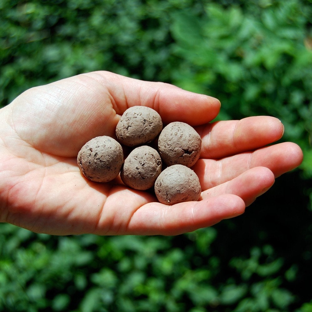 Any 3 Seed Bombs for Guerilla Gardening with Combined S/H Choose from Herb, Dog & Cat Friendly and Regional Varieties