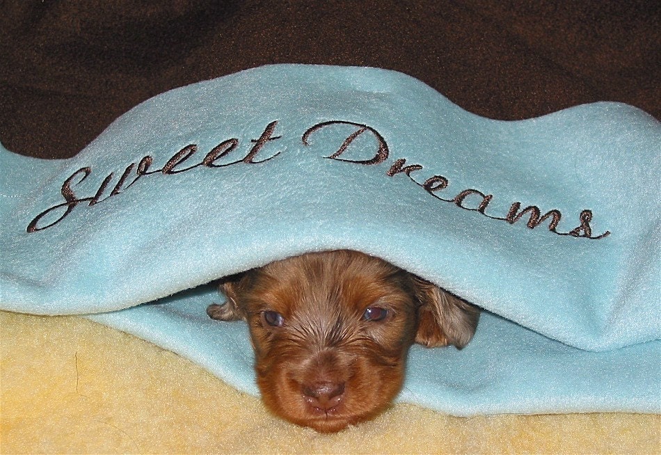 Sweet Dreams - Snuggle Sack - XSmall 10 x 13 - Dogs - Pets - Custom Embroidery - Personalized