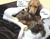 Dog Beds - SNUGGLE SACKS - Minky  - Size Large - Includes Embroidered Personalization
