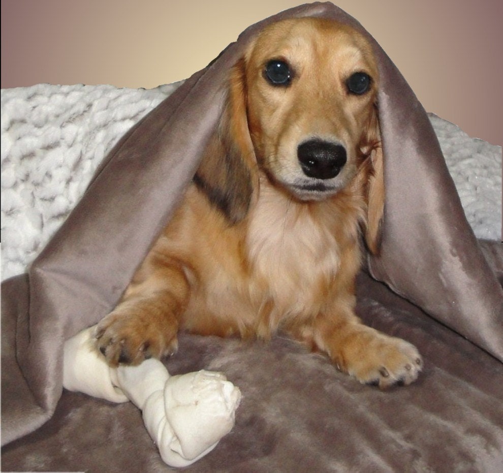Winter White on Taupe Snuggle Sack - Feather Faux Fur - Includes Embroidered Personalization