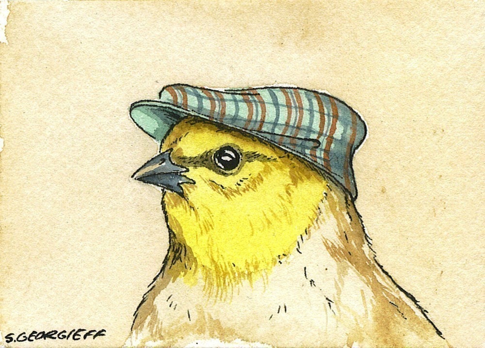 ACEO signed PRINT -Little Verdin with hat -