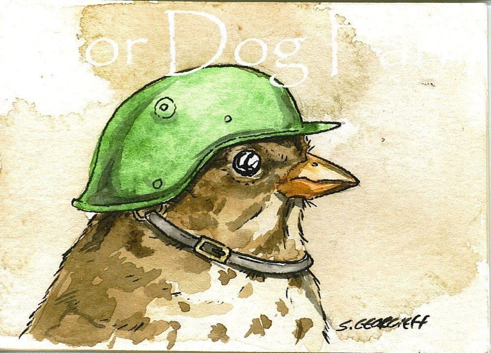 Birds in helmets  n0. 1 - 5 x 7 print