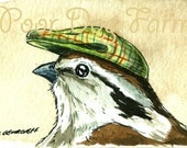ACEO signed PRINT - LIttle Sparrow in a Hat-