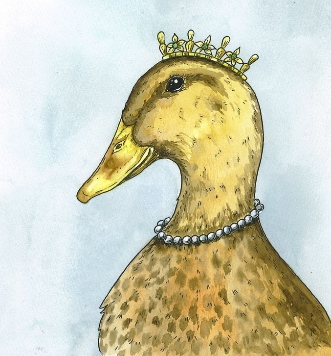 queen duck