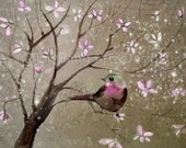 Magnolia and Bird Spring Print