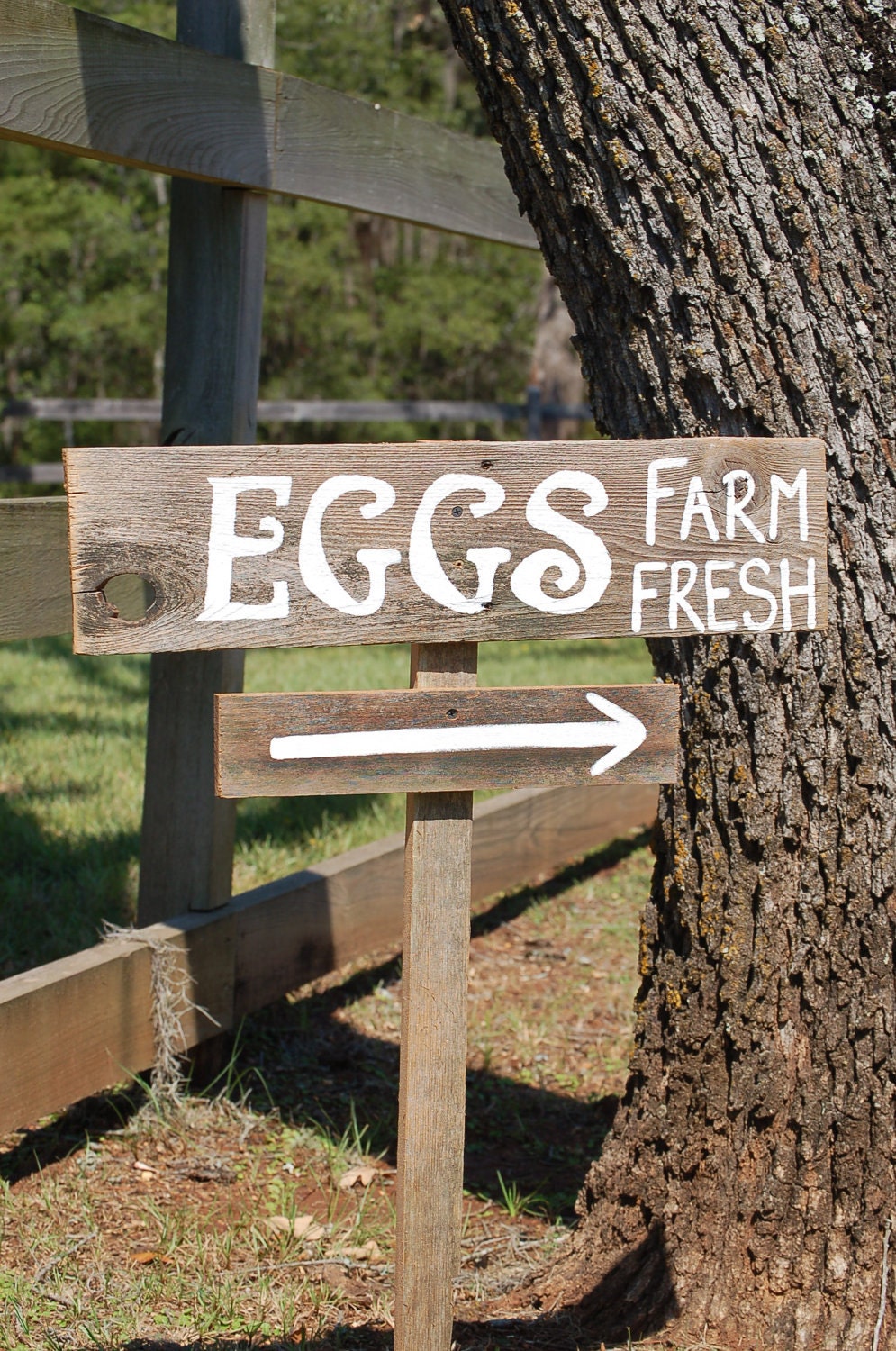 Eggs Sign Hand Painted Wood Sign. FARM FRESH EGGS. Recycled Wood Rustic Directional Arrow Sign On / With A Stake. Outdoor Country Sign Sale