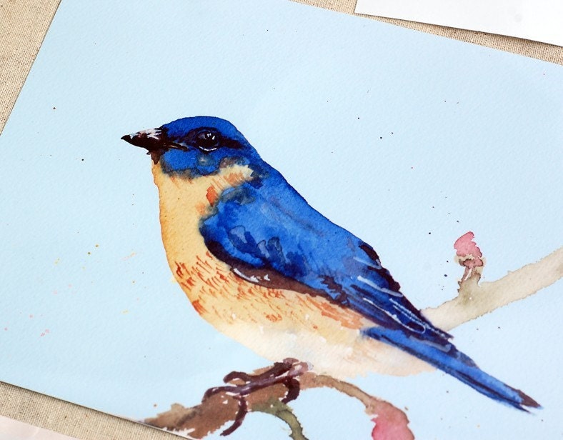 Eastern Bluebird -- 8x10 Archival Print