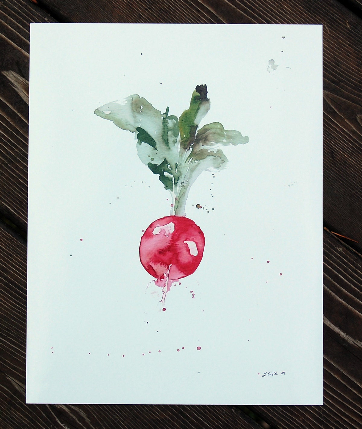 Radish -- archival print