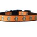5/8 or 3/4 Inch Wide Dog Collar with Adjustable Buckle or Martingale in Beer an Exclusive Design